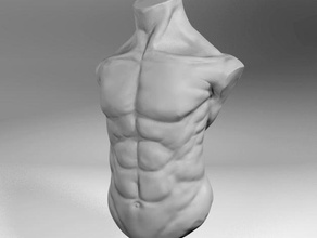 männlicher torso Skulpturen 3d print model - Mito3D