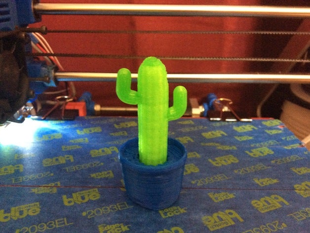 kaktüs bitki dekor ev dekorasyonu 3D print model - Mito3D