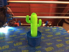 cactus plant decor home 3d print model - Mito3D