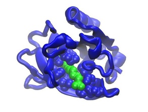 beta-laktoglobulin biyoloji süt protain protein yapısı 3d print model - Mito3D