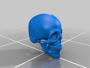 skull scans replicas human 3d print model - Mito3D