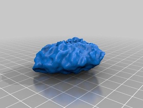 coral scans replicas makerbotdigitizer 3d print model - Mito3D