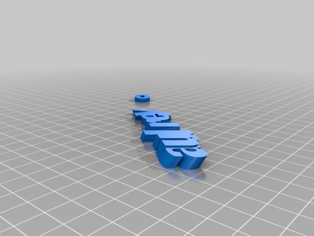 my customized iamburnystext name keyring keyfob organization 3D print model - Mito3D