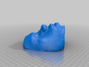 mrwalker face scans replicas makerbotdigitizer 3d print model - Mito3D