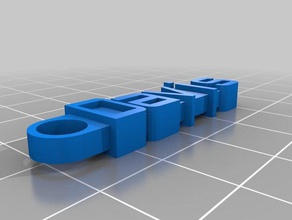 davis llavero organización personalizado 3d print model - Mito3D