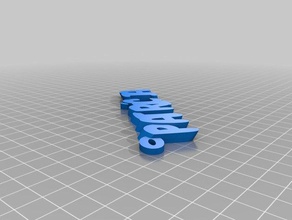 paty organizzazione personalizzato 3d print model - Mito3D
