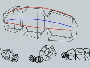 erste Schritte Arthropoden alle openscad Tiere prozedurale 3d print model - Mito3D