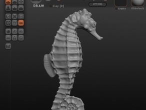 seahorse 3ps sculptures animals makergear sculptris scultpure 3d print model - Mito3D