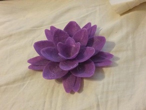 Wasser-Lilie andere Blume 3d print model - Mito3D