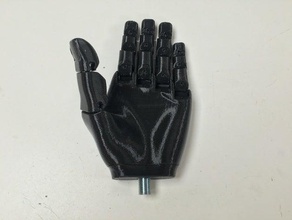td static hand other amputee e-nable enable enabling flexy-hand prosthetic 3d print model - Mito3D