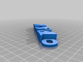 tracey keyfob organization customized 3d print model - Mito3D