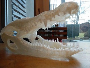 jacaré do crânio animais crânios 3d print model - Mito3D