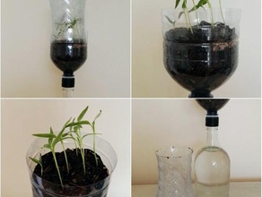 pasif hidroponik sistem fidan diy bahçe hidrofonik bitkiler şarap şişesi 3d print model - Mito3D