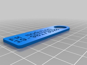 chaveiro fm modulos de río claro organización personalizado 3d print model - Mito3D
