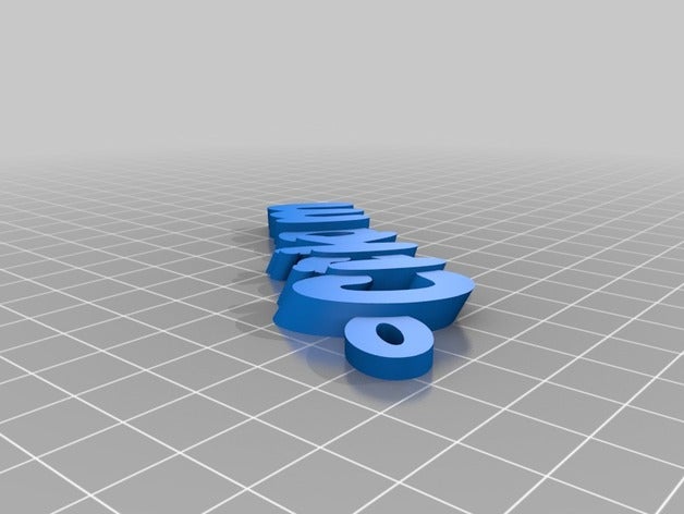 özelleştirilmiş iamburnystext adım keyfob Anahtarlık organizasyon 3D print model - Mito3D
