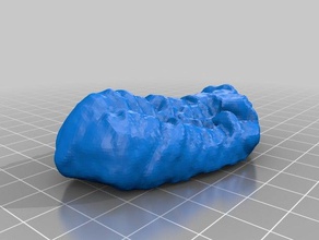 trilobite le scansioni repliche makerbotdigitizer 3d print model - Mito3D