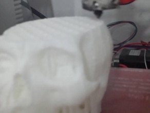 crâne de muscle l'apprentissage anatomyproject makeredchallenge2 3d print model - Mito3D