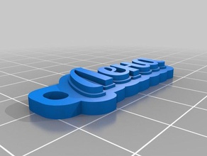 lena Anahtarlık özelleştirilmiş 3d print model - Mito3D