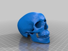 menschlicher Schädel Skulpturen 3d print model - Mito3D