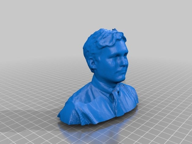 sciteach buste 3d l'impression 3D print model - Mito3D