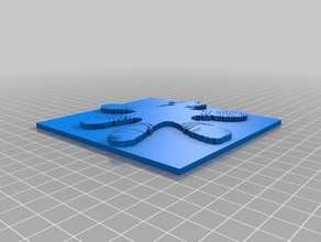 gecko-Fußes Biologie 3d print model - Mito3D