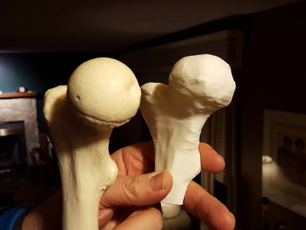 alberta high school cts 3d printed bone replacements learning makeredchallenge2 biologyproject bones ctsproject curriculum designproject education femur scienceproject 3D print model - Mito3D