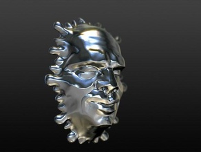 endurecido derretir la cara esculturas 3d print model - Mito3D