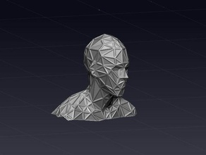 self portrait low poly scans replicas 3d print model - Mito3D