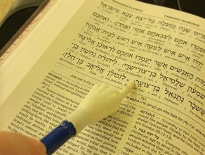 kalem yad diğer el Yahudi judaica işaretçi 3d print model - Mito3D