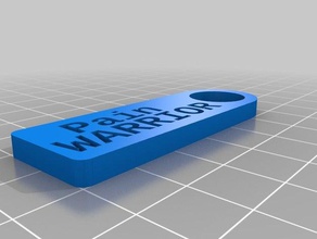 el dolor de guerrero organización personalizado 3d print model - Mito3D