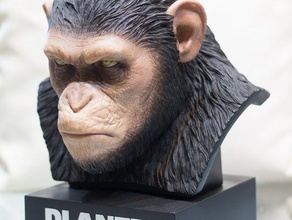 cesare ape sculture il busto scimmia 3d print model - Mito3D