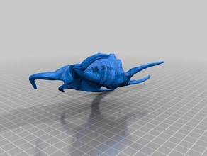 concha de mar otros Escáner 3d artec espacio araña 3d print model - Mito3D