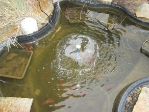 water bubble fountain head outdoor garden pond ponds pond fountain