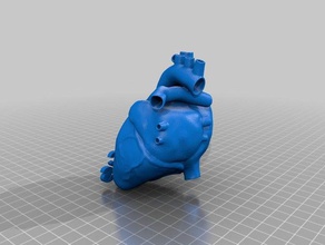 coração cora&ccedil&atildeo ces 3d impressão 3d print model - Mito3D