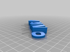 nikole keyfob organizasyon özelleştirilmiş 3d print model - Mito3D
