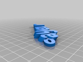 aysenur organizzazione personalizzato 3d print model - Mito3D