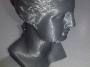 testa di venere sculptures 3d print model - Mito3D