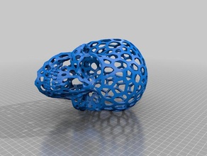 voro skull original surface people 3d print model - Mito3D
