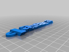 vanessa llavero v2 organización personalizado 3d print model - Mito3D