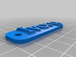ivorys trousseau de clés porte-clés personnalisé 3d print model - Mito3D