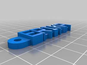 erika organización personalizado 3d print model - Mito3D