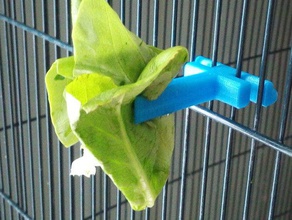 food holder birdcage pets 3d print model - Mito3D
