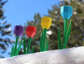 laleler matematik sanat Paskalya çiçek çokyüzlülere kenar denir bahar 3d print model - Mito3D
