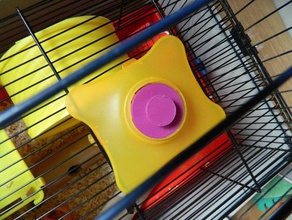 hamster rongeur bloquer les tubes de la cage animaux compagnie 3d print model - Mito3D