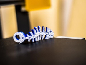 fish fossilz ring 3d printing 3d print model - Mito3D