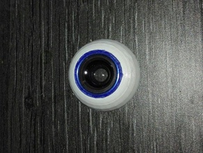 inmoov eyeball wide lens robotics 3d print model - Mito3D