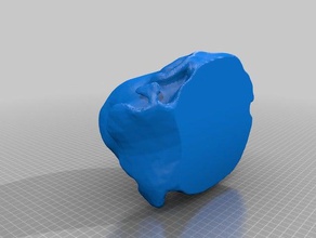 aiden face scanect meshmixer other 3d print model - Mito3D