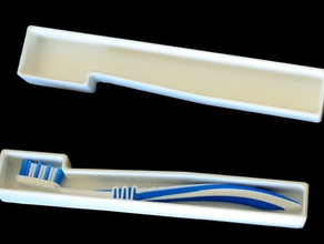 robusto spazzolino da denti travelbox bagno contenitore l'uso quotidiano 3d print model - Mito3D