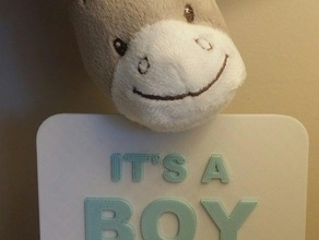 seine boygirl - Spielzeug Spiele Babys baby boy baby-Mädchen Geburt Karte Mädchen neugeborenes plaque 3d print model - Mito3D