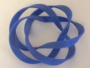 53 fita torus knot matemática 3d print model - Mito3D